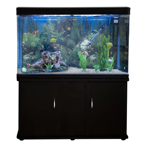 Acquario 300 litri con - acquario,
