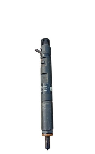 Iniettore diesel 166001137r - iniettore,