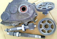 Ingranaggi Ruota Posteriore