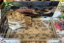 TARTARUGHIERA ACQUARIO TARTARUGA VETRO FONTANA IN MARMO 43x24x22,5 + ACCESSORI