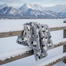 Lana cotta 150x170 morbido