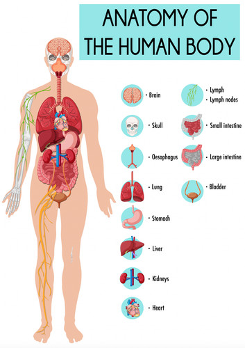 Poster parete diagramma - parete,