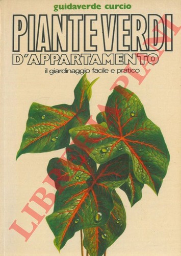 Pizzetti mariella piante - pizzetti,