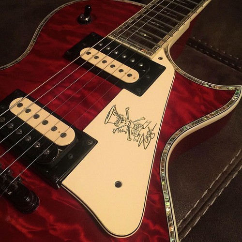 Parte chitarra battipenna - -,