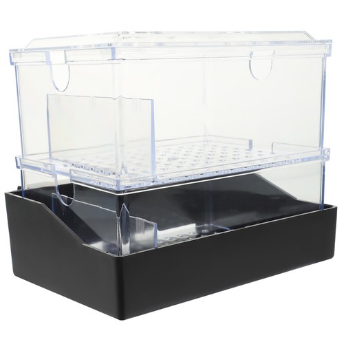 Filtro acquario domestico
