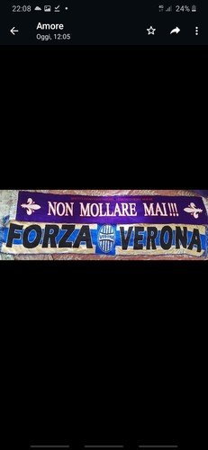 Fiorentina verona due - fiorentina,