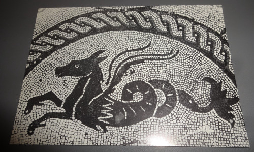 Sea horses dolphin mosaic - horses,