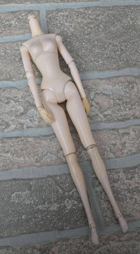 Bambola pullip corpo solo - pullip,