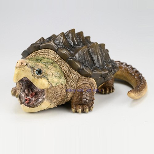 Animal heavenly body alligator - heavenly,