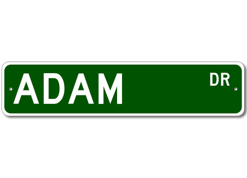 Adam drive cartello stradale - drive,