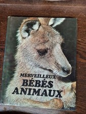 Meravigliosi Cuccioli Animali