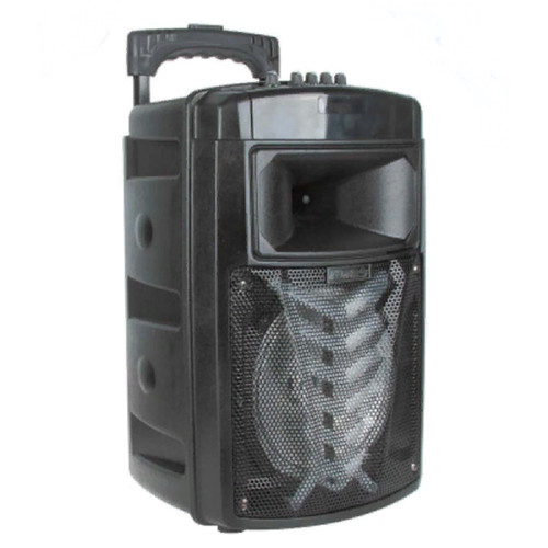Cassa speaker portatile - , 8"