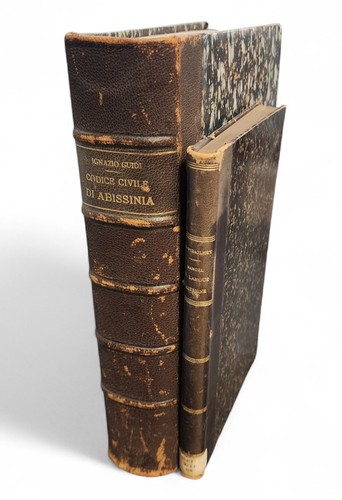Two 19th abyssinia volumes - two,