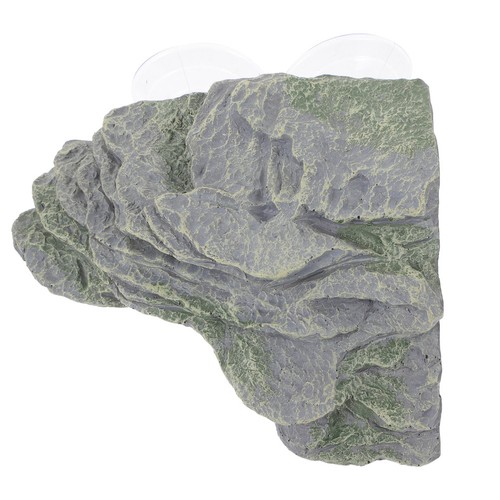 Piattaforma basking tartaruga - basking,
