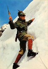 381) ALPINO IN ARRAMPICATA SUL