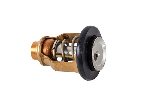 Termostato df100 df300 - termostato,