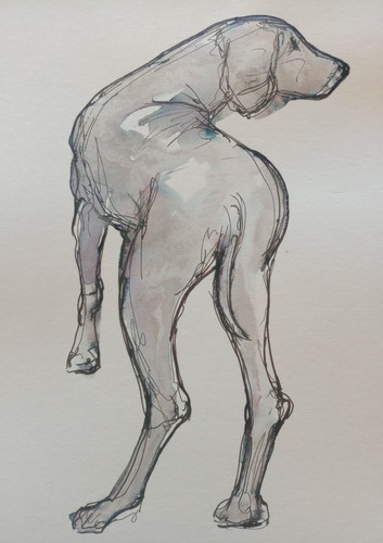 Schizzo disegno cane - schizzo,