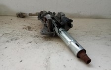 CANNA DELLO STERZO (PIANTONE)