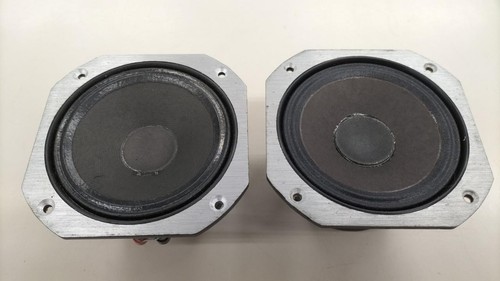 Coppia driver altoparlanti