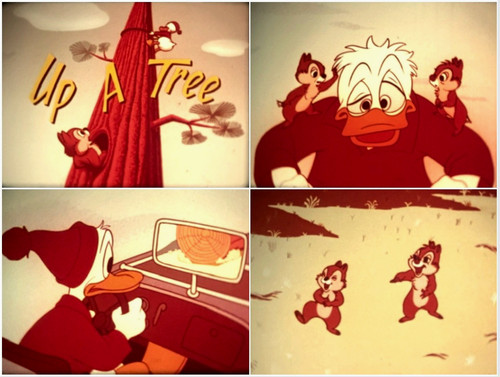 16mm sound film - 16mm, film: