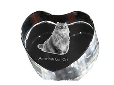 Gatto riccio americano cuore di cristallo con gatto Art-Dog