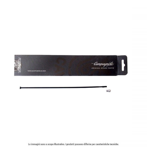 Campagnolo raggio 208shb - campagnolo, wh-208shb