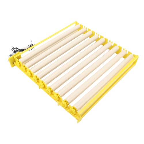 Fully automatic egg incubation - egg,