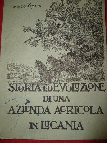 Storia evoluzione una - ed, di