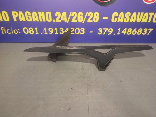 Carena paracatena aprilia - paracatena,