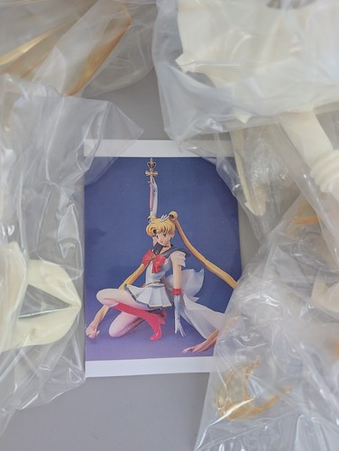 Rare e2046 super sailor - e2046, moon