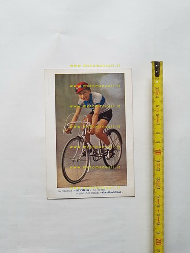 Gloria cartolina biciclette
