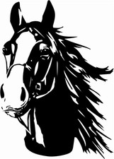 Adesivo Con Testa Di Cavallo