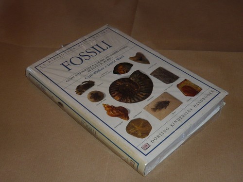 Fossili biblioteca della - biblioteca,