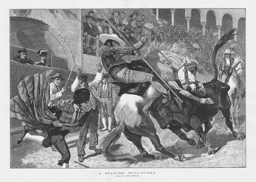 Richard caton woodville una - woodville,