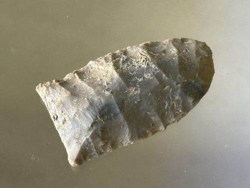 Incredibile paleo dart - dart, /
