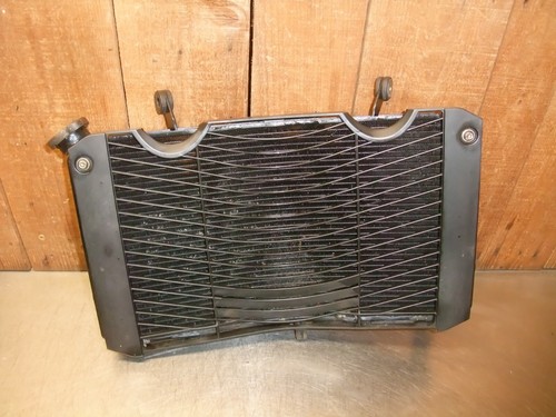 Radiatore yamaha fz1 - radiatore,