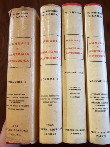 Manuale anatomia - di,