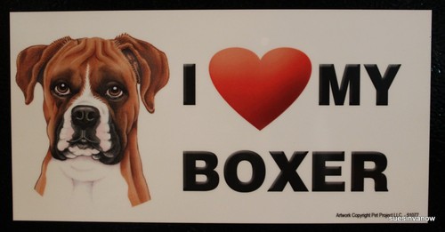 Boxer cucciolo calamita cane - boxer,