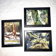 Paesaggio forestale anni 90