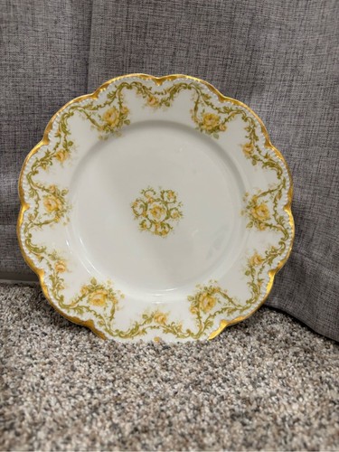 Piatto porcellana haviland - piatto,