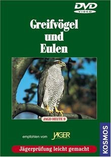 Greifvögel und eulen jagd - und, eulen: