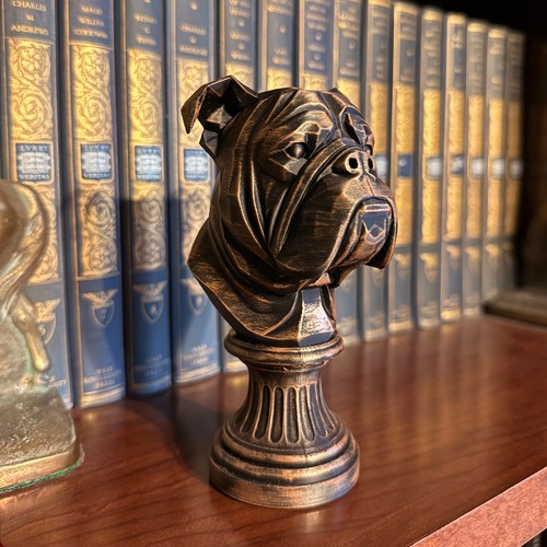 Busto bulldog americano - bulldog,