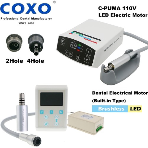 Coxo dental puma int motore - dental,
