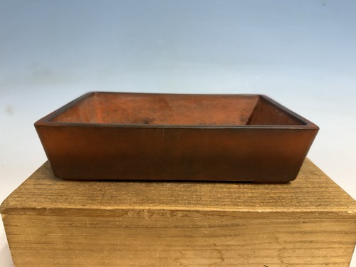 Antico vaso per - , bonsai