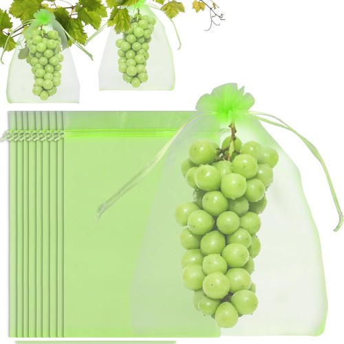 100 pezzi sacchetti organza - 100,