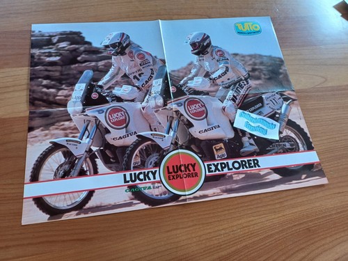 Poster lucky explorer tutto - lucky, explorer-da