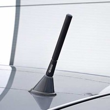 Antenna autoradio antifurto