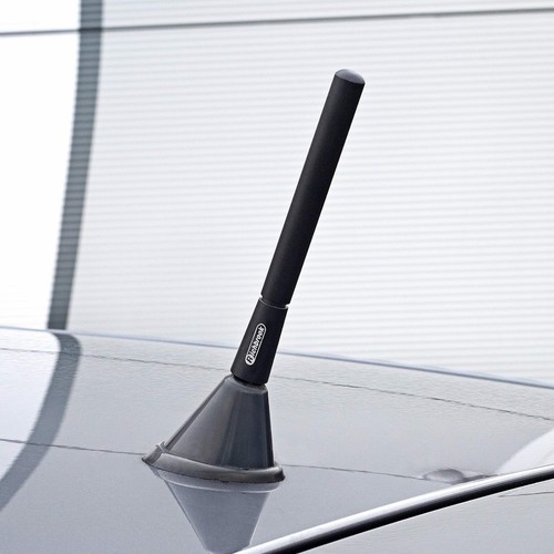 Antenna autoradio antifurto