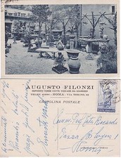 # ROMA: AUGUSTO FILONZI- DEPOSITO TERRE-COTTE TOSCANE DA GIARDINO