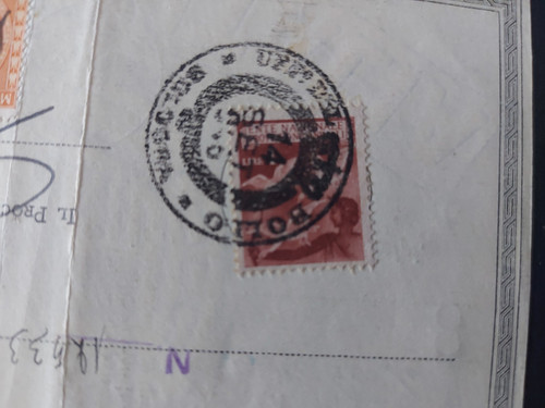Marca per licenza caccia - licenza,